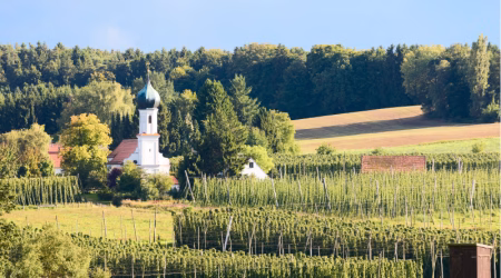 Hopfenregion Hallertau-Landschaft