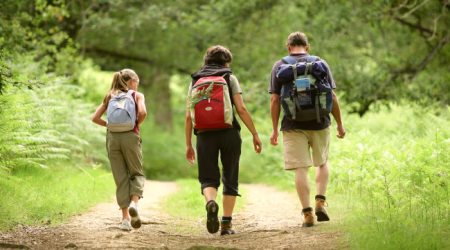 Wandern&Spazieren-Hopfenregion Hallertau